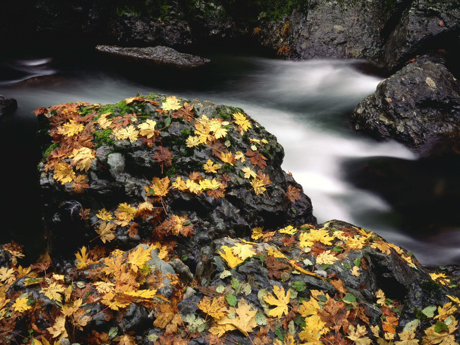 Nature (41).jpg